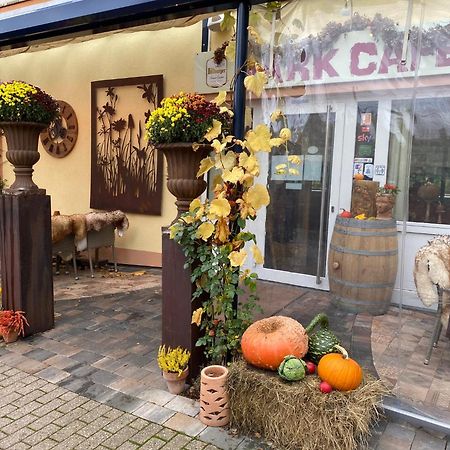 Ferienwohnungen Park Cafe Am Kurpark ベルンカステル・クース エクステリア 写真